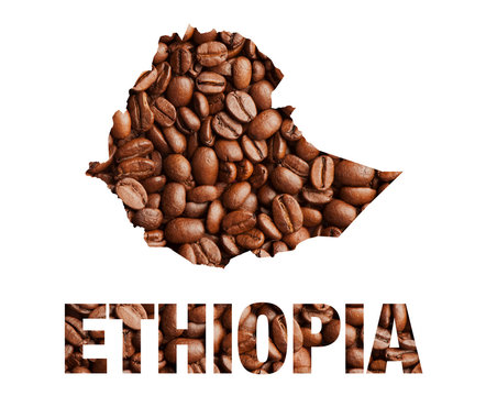 SWAJ Trading PLC Coffee Processing