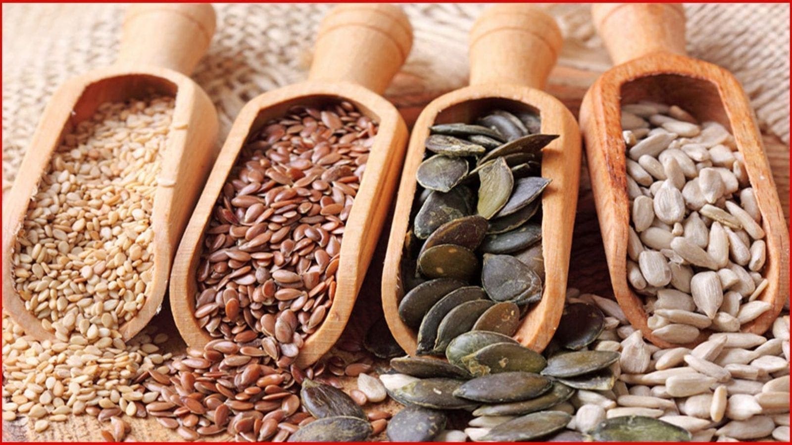 Hybrid Sunflower Seeds