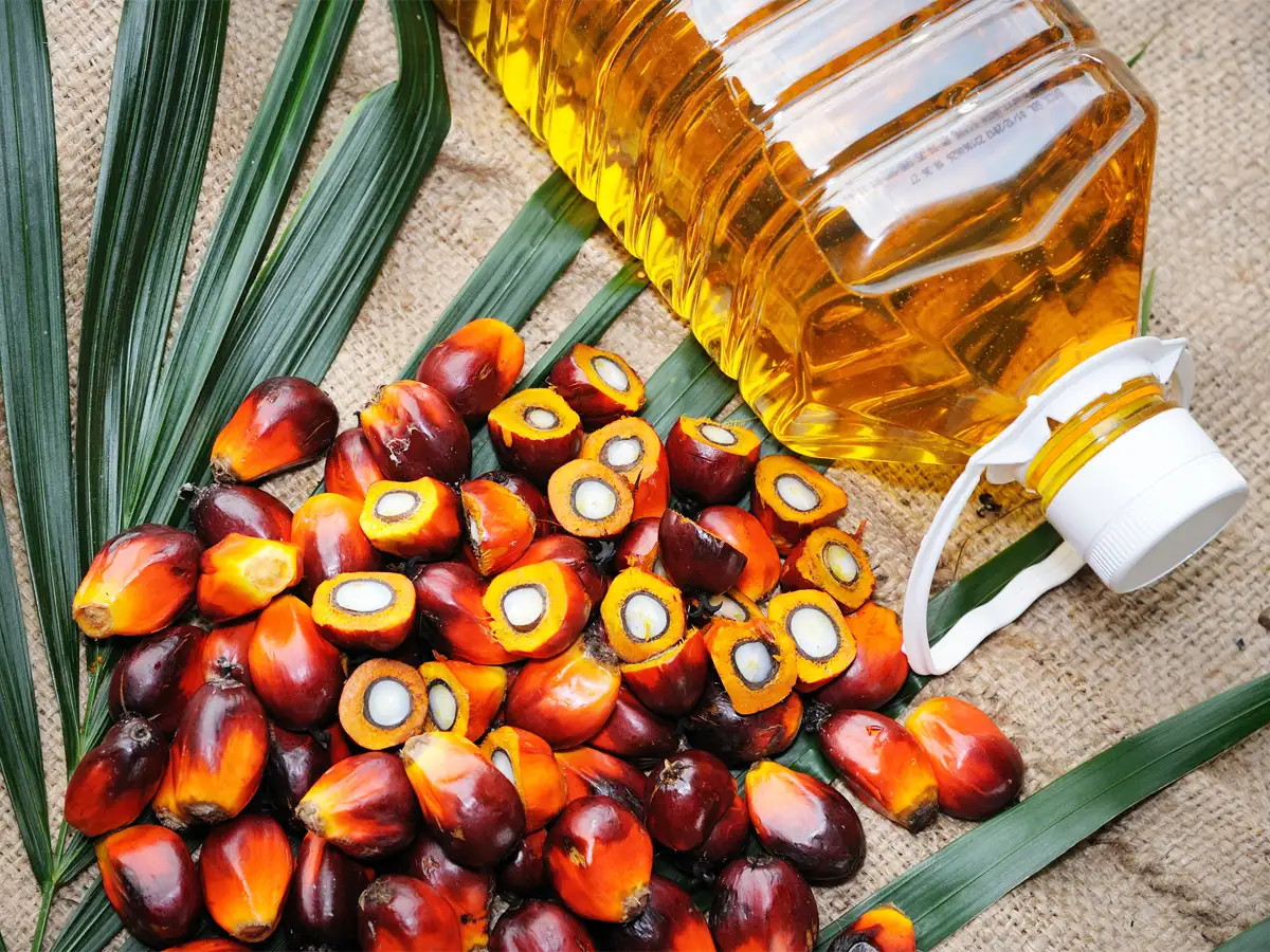Palm Oil