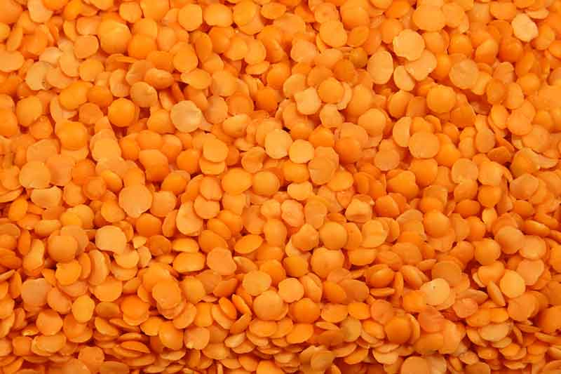 Red Split Lentils