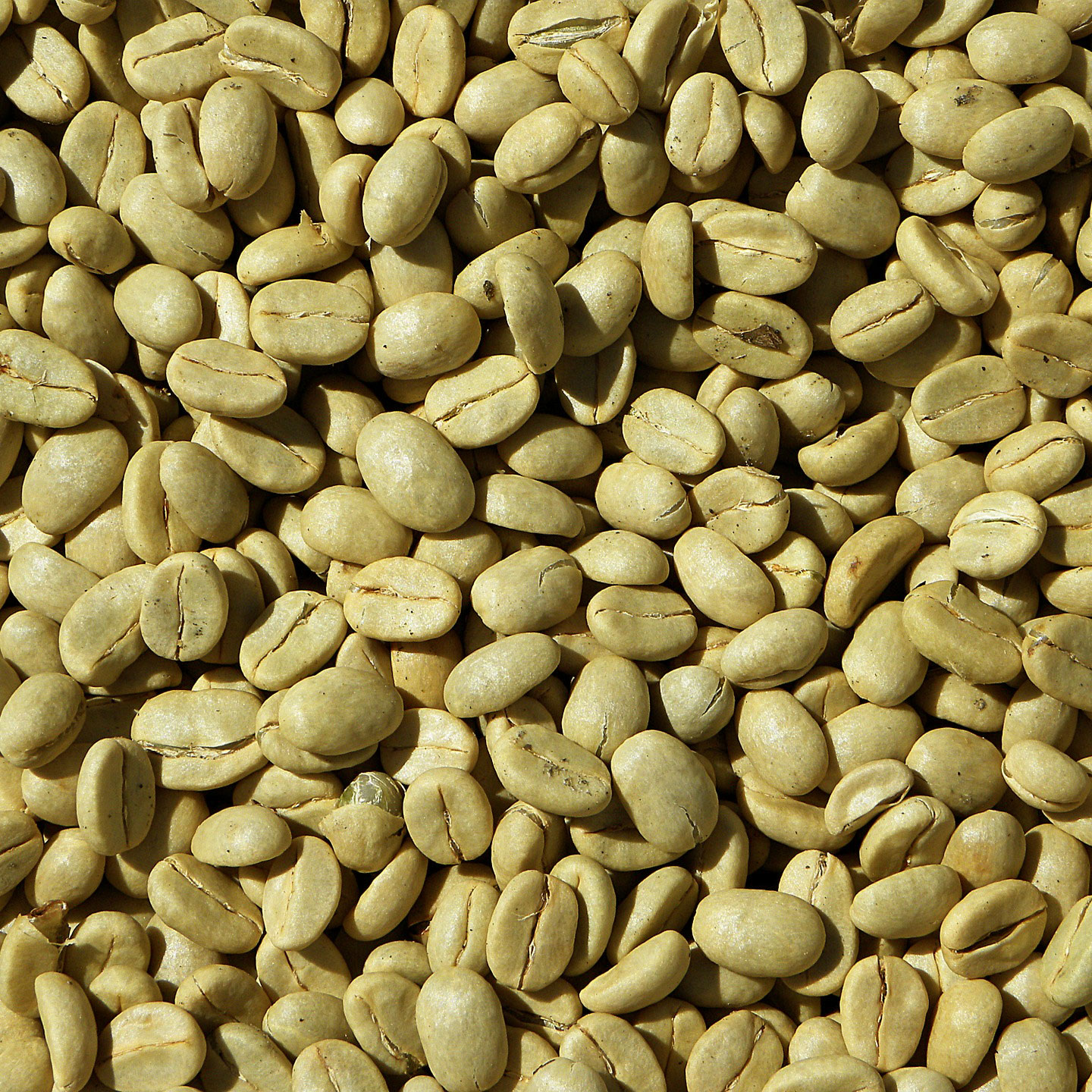 Ethiopian Coffee Beans